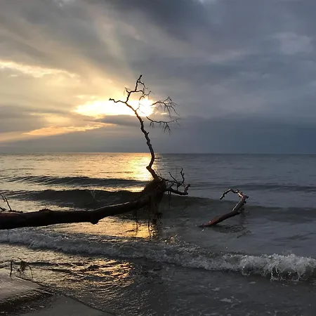 De Windroos Lejlighed Born
